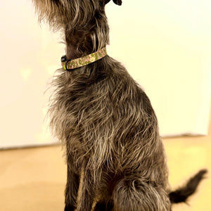Load image into Gallery viewer, DOG COLLAR
